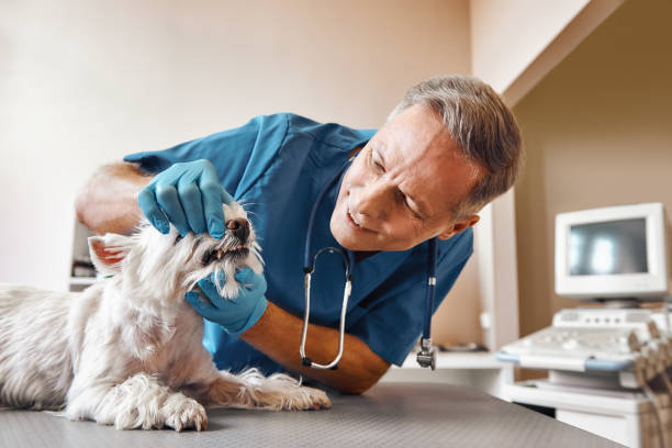 Best Emergency Tooth Extraction in Nikiski, AK