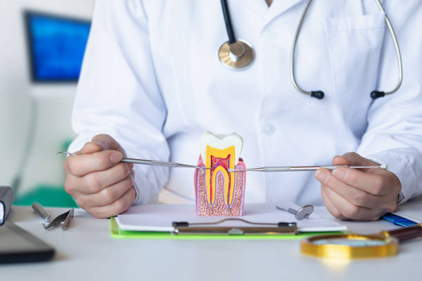 Best Pediatric Emergency Dentist in Nikiski, AK